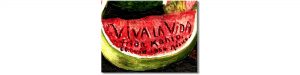 IMAGEN FIATIFTA WEB