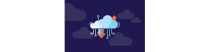 MAM in the CLOUD