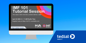 imf mam 101 tutorial session