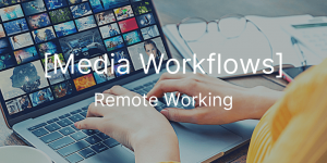 Remote working - DVBE 2020 Supplement
