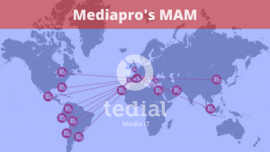 Mediapro MAM globe tedial