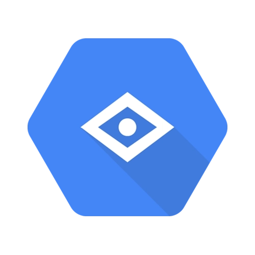 Google Vision