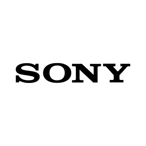 Sony Camera Card